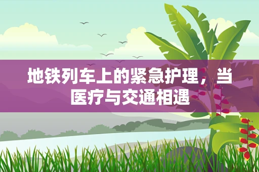 地铁列车上的紧急护理，当医疗与交通相遇