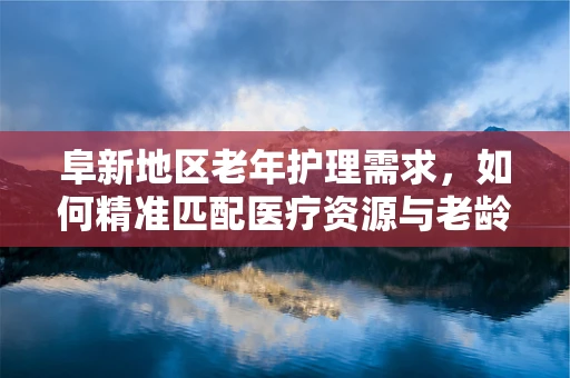阜新地区老年护理需求，如何精准匹配医疗资源与老龄化挑战？