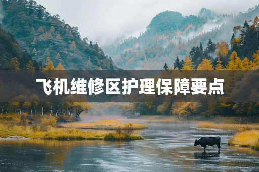 飞机维修区护理保障要点