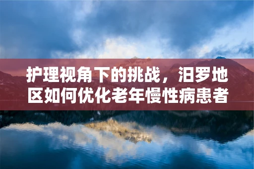 护理视角下的挑战，汨罗地区如何优化老年慢性病患者居家护理服务？
