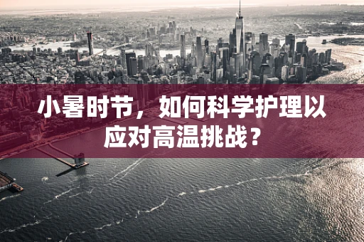 小暑时节，如何科学护理以应对高温挑战？