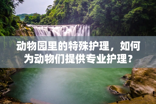 动物园里的特殊护理，如何为动物们提供专业护理？