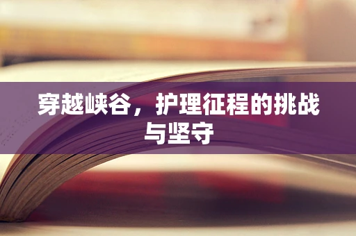穿越峡谷，护理征程的挑战与坚守
