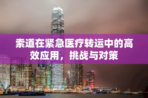 索道在紧急医疗转运中的高效应用，挑战与对策
