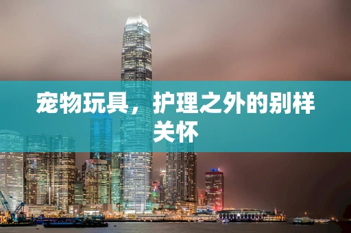 宠物玩具，护理之外的别样关怀
