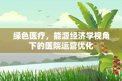 绿色医疗，能源经济学视角下的医院运营优化