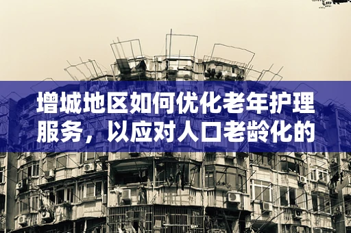 增城地区如何优化老年护理服务，以应对人口老龄化的挑战？