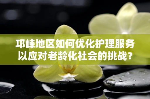邛崃地区如何优化护理服务以应对老龄化社会的挑战？