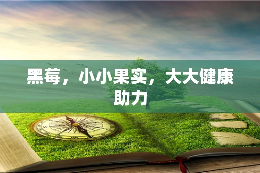 黑莓，小小果实，大大健康助力