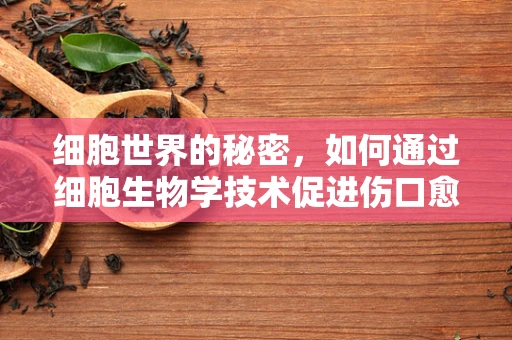 细胞世界的秘密，如何通过细胞生物学技术促进伤口愈合？
