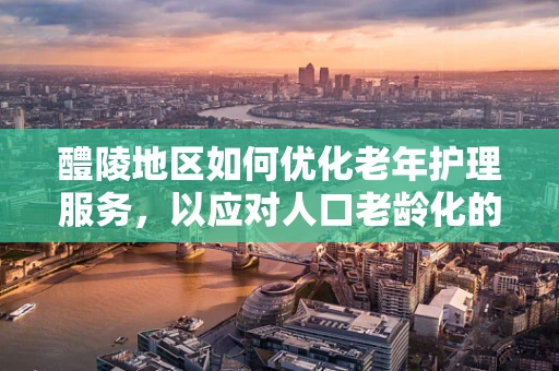 醴陵地区如何优化老年护理服务，以应对人口老龄化的挑战？