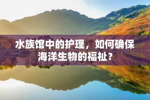 水族馆中的护理，如何确保海洋生物的福祉？