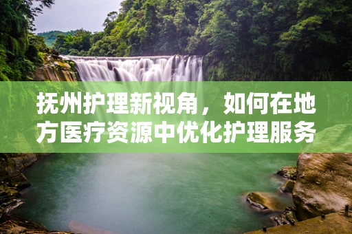 抚州护理新视角，如何在地方医疗资源中优化护理服务？