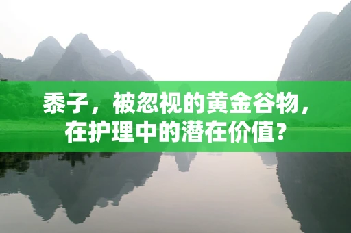 黍子，被忽视的黄金谷物，在护理中的潜在价值？