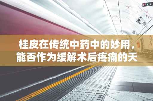 桂皮在传统中药中的妙用，能否作为缓解术后疼痛的天然良方？