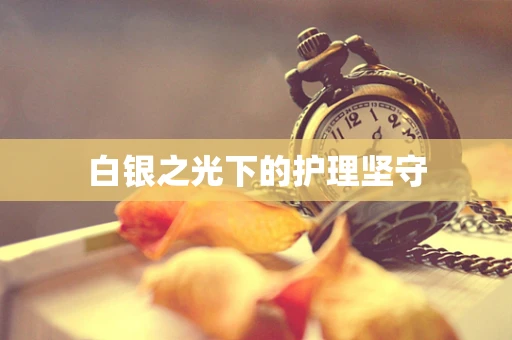 白银之光下的护理坚守