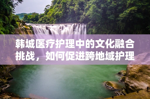 韩城医疗护理中的文化融合挑战，如何促进跨地域护理服务？