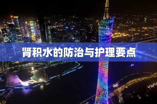 肾积水的防治与护理要点