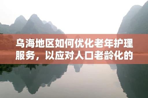 乌海地区如何优化老年护理服务，以应对人口老龄化的挑战？