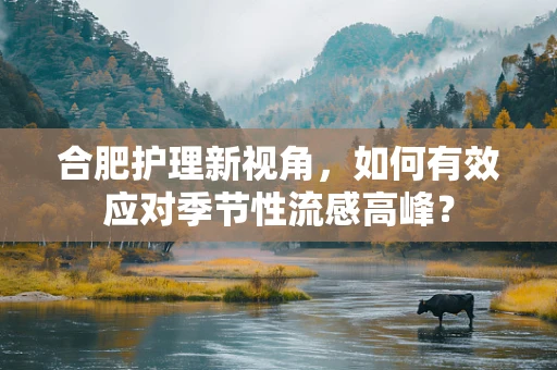 合肥护理新视角，如何有效应对季节性流感高峰？