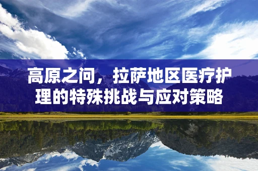 高原之问，拉萨地区医疗护理的特殊挑战与应对策略