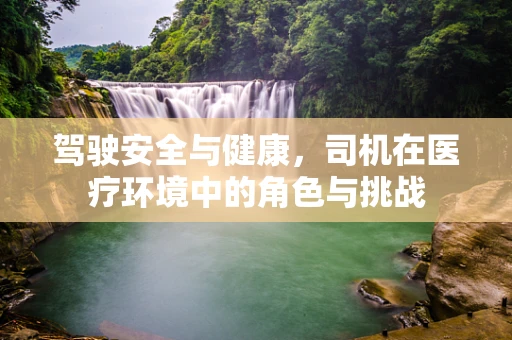 驾驶安全与健康，司机在医疗环境中的角色与挑战