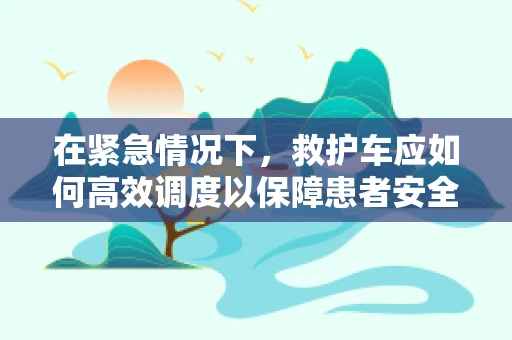 在紧急情况下，救护车应如何高效调度以保障患者安全？