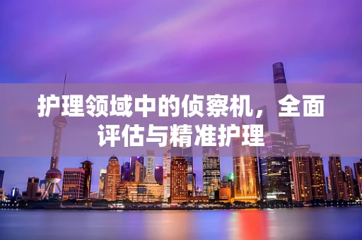 护理领域中的侦察机，全面评估与精准护理