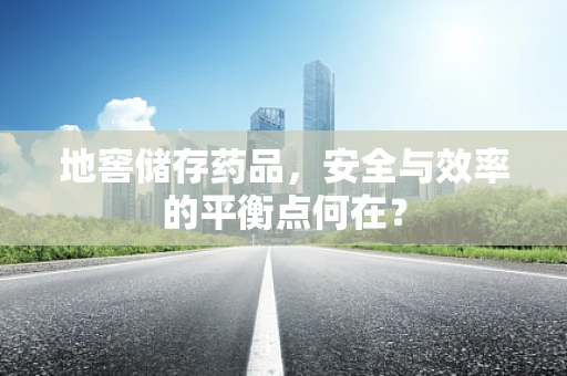 地窖储存药品，安全与效率的平衡点何在？