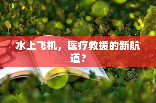 水上飞机，医疗救援的新航道？