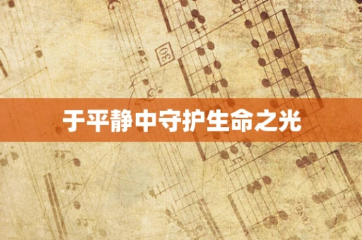 于平静中守护生命之光