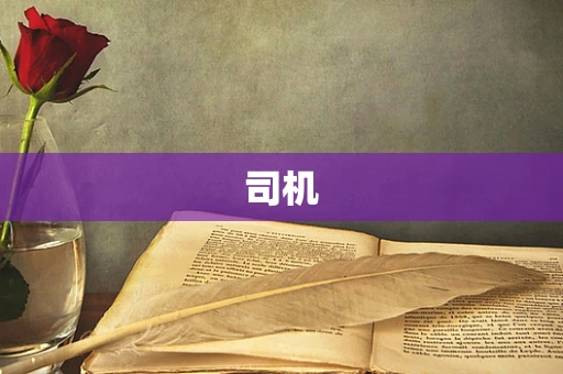 司机