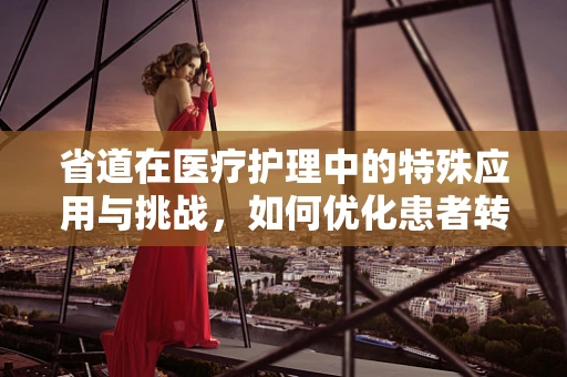 省道在医疗护理中的特殊应用与挑战，如何优化患者转运路径？