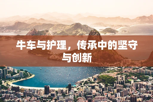 牛车与护理，传承中的坚守与创新