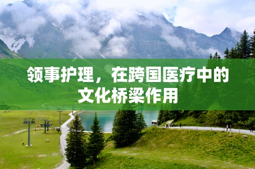 领事护理，在跨国医疗中的文化桥梁作用