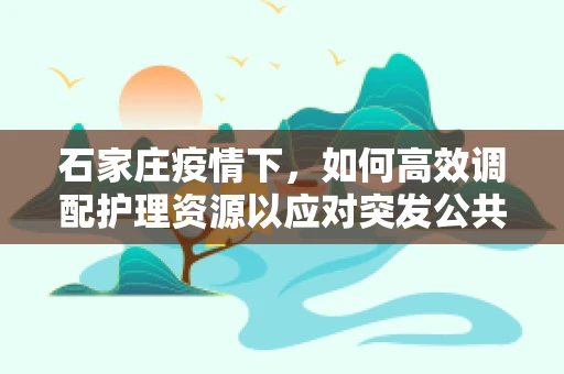石家庄疫情下，如何高效调配护理资源以应对突发公共卫生事件？