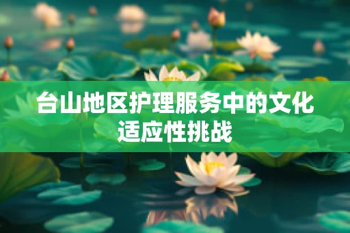 台山地区护理服务中的文化适应性挑战