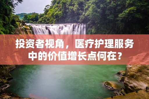 投资者视角，医疗护理服务中的价值增长点何在？