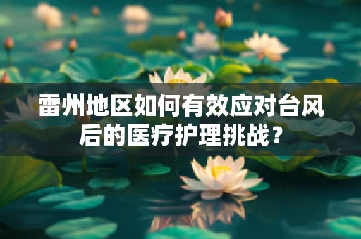 雷州地区如何有效应对台风后的医疗护理挑战？