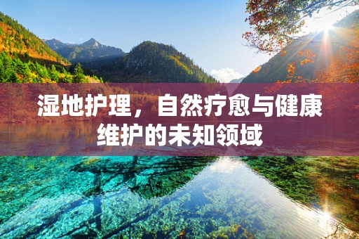 湿地护理，自然疗愈与健康维护的未知领域