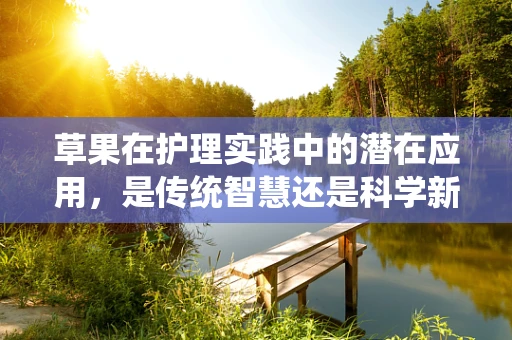 草果在护理实践中的潜在应用，是传统智慧还是科学新章？