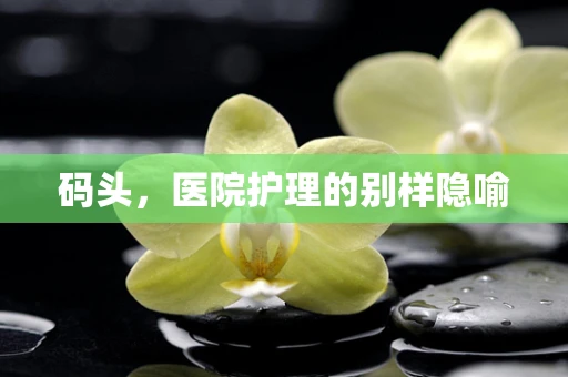码头，医院护理的别样隐喻