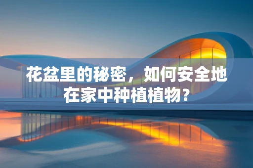 花盆里的秘密，如何安全地在家中种植植物？