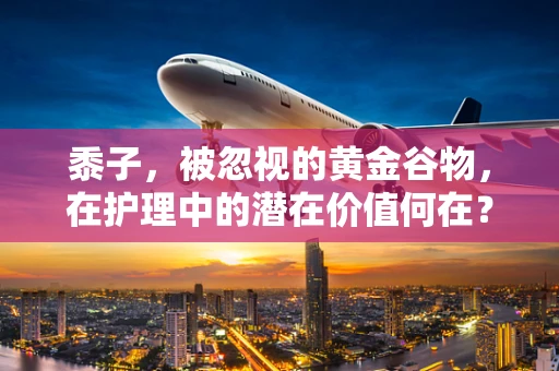 黍子，被忽视的黄金谷物，在护理中的潜在价值何在？