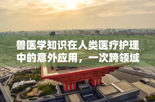 兽医学知识在人类医疗护理中的意外应用，一次跨领域的思考