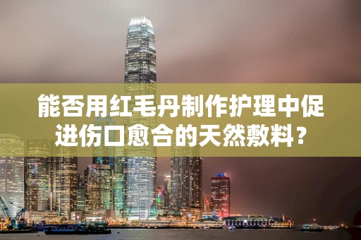 能否用红毛丹制作护理中促进伤口愈合的天然敷料？