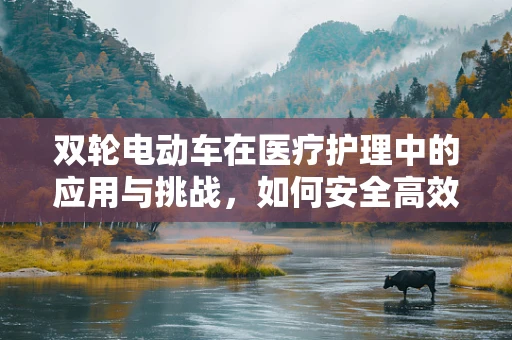 双轮电动车在医疗护理中的应用与挑战，如何安全高效地运送患者？
