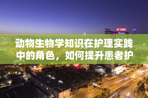 动物生物学知识在护理实践中的角色，如何提升患者护理的‘动物性’关怀？