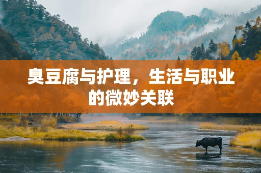 臭豆腐与护理，生活与职业的微妙关联