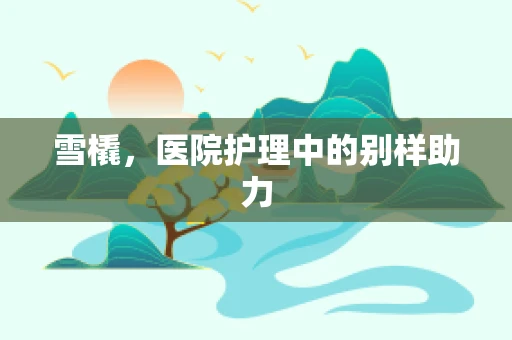 雪橇，医院护理中的别样助力